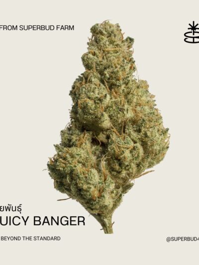 Ginger Mint