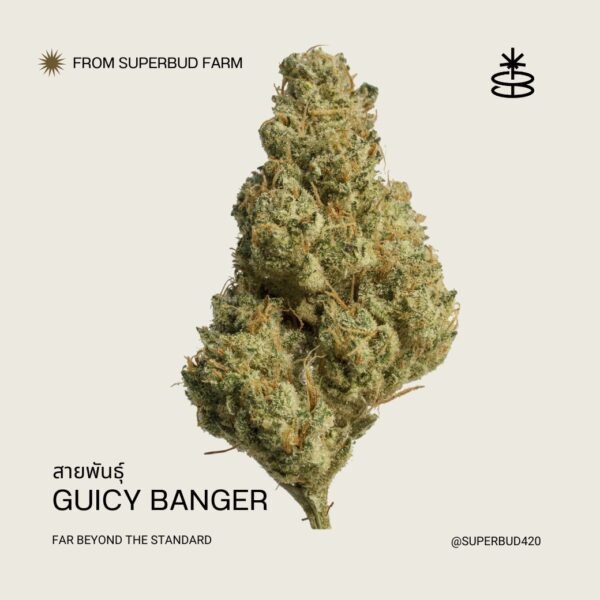 weed-guicy-banger